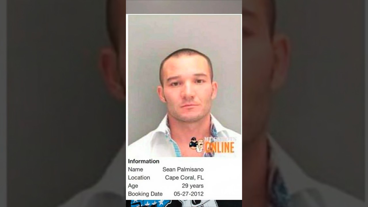 BREAKING - Update on the Shawn Ryan arrest investigation! With Andrew Lemacks and Nóna Lemacks